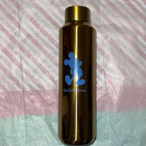 WALT DISNEYWORLD PARK EXCLUSIVE -STARBUCKS STAINLESS STEEL COLD DRINKS TUMBLER